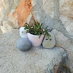 公寓 Mareta - In A Stone House
