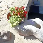 Apartment Mareta - In A Stone House